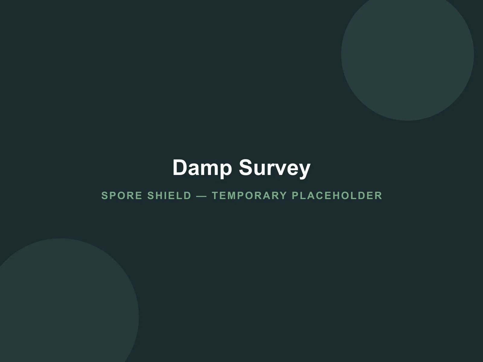 Placeholder photo of a damp survey visit used in a Phase 6 case study example (temporary Development image)
