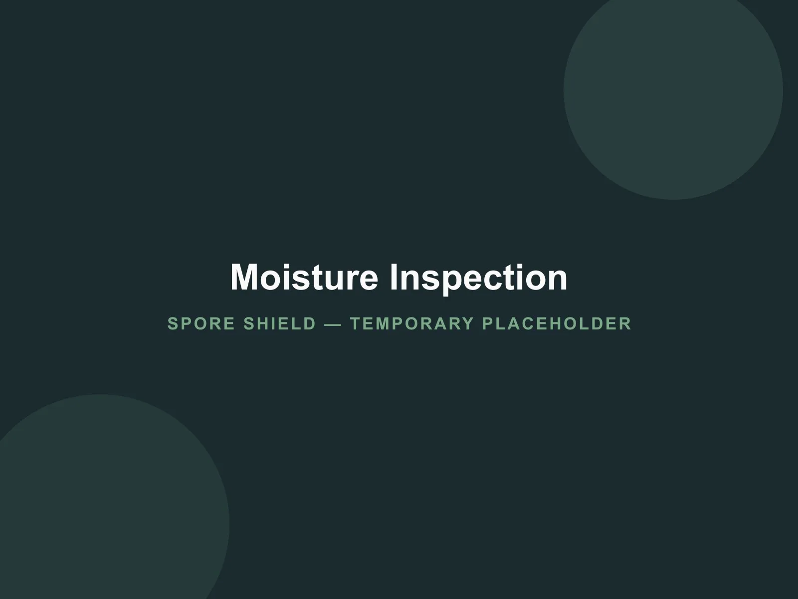 Placeholder image representing a moisture inspection (temporary Development image)